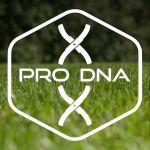 Proven by pros - perfected for you