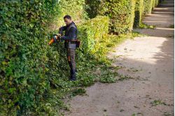 Stihl HSA 130 R Battery Hedge Trimmer
