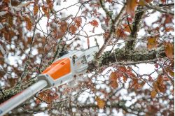 Stihl HTA 50 Battery Pole Pruner - Skin Only