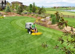 Walker grass collection model MT23 mowing lawn