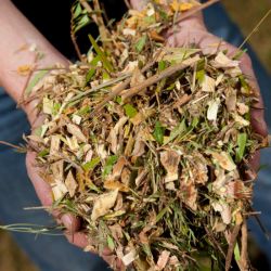 Hansa Model C13 Chipper