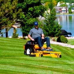 Walker Mower Model RS42R - 42 inch - beautiful cut every time!