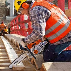 Stihl MS 291 CBE Chainsaw