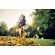 Stihl KMA 200 R Cordless KombiEngine