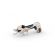 Stihl Battery ASA 20 Battery Pruning Shears