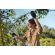 Stihl Battery ASA 20 Battery Pruning Shears