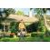 Stihl battery grass trimmer FSA 80 R Tool Only